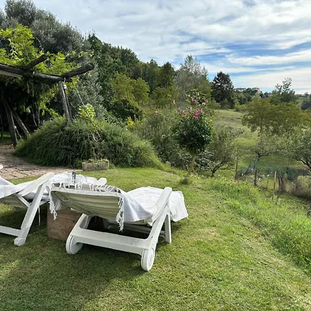 - Casa Boccaccia 115 *